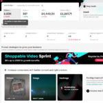 TikTok Shop Dropshipping Stats